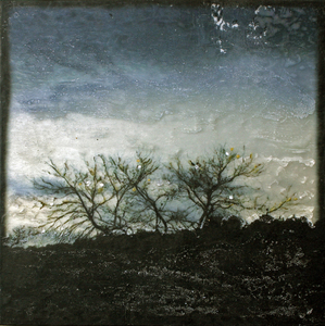 Photographie numérique et peinture acrylique sur voile de soie et miroir, 20x20cm, 2014