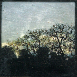 Photographie numérique et peinture acrylique sur voile de soie et miroir, 20x20cm, 2014