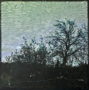 Photographie numérique et peinture acrylique sur voile de soie et miroir, 20x20cm, 2014