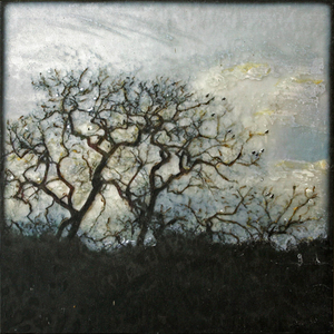 Photographie numérique et peinture acrylique sur voile de soie et miroir, 20x20cm, 2014